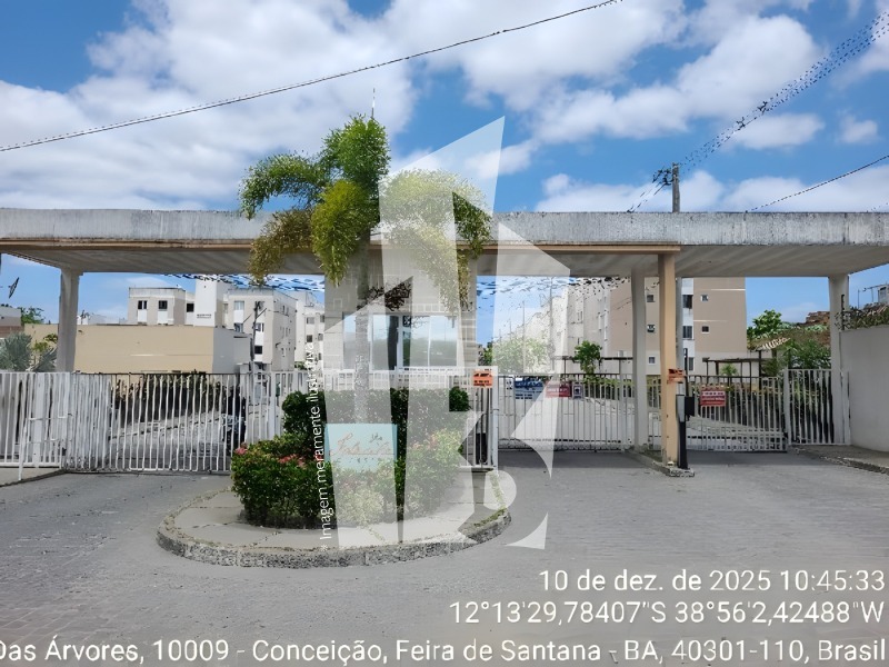 Feira de Santana/BA - Apartamento