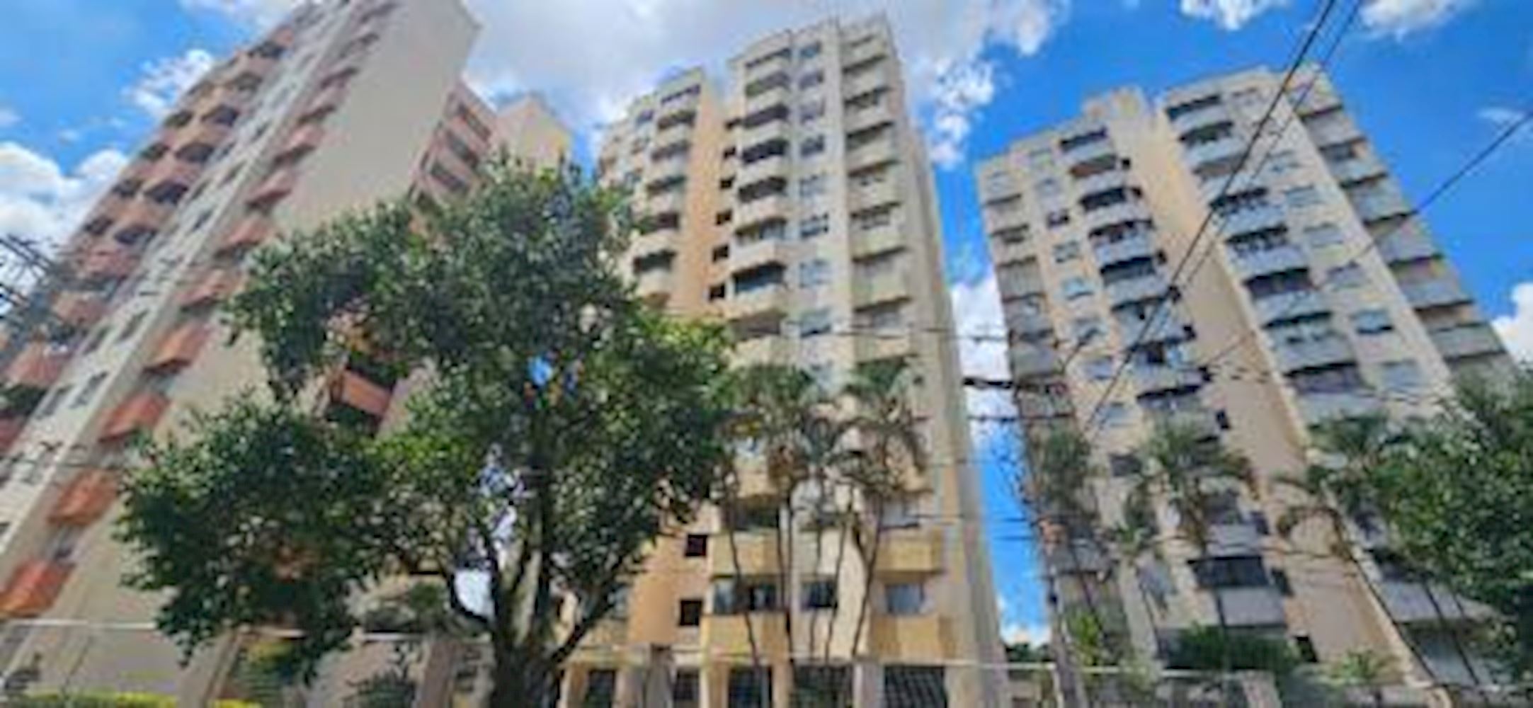 Apartamento - Recanto - Americana/SP — foto 2