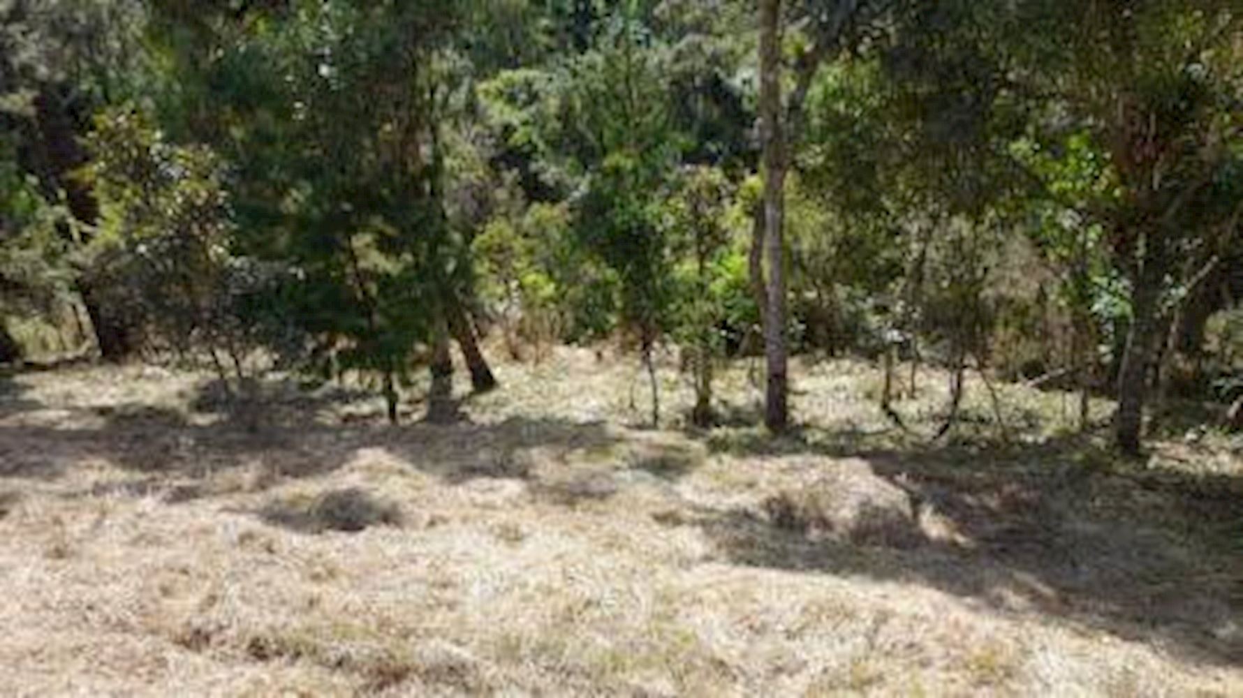 Terreno - Alto Da Boa Vista - Campos do Jordão/SP — foto 4