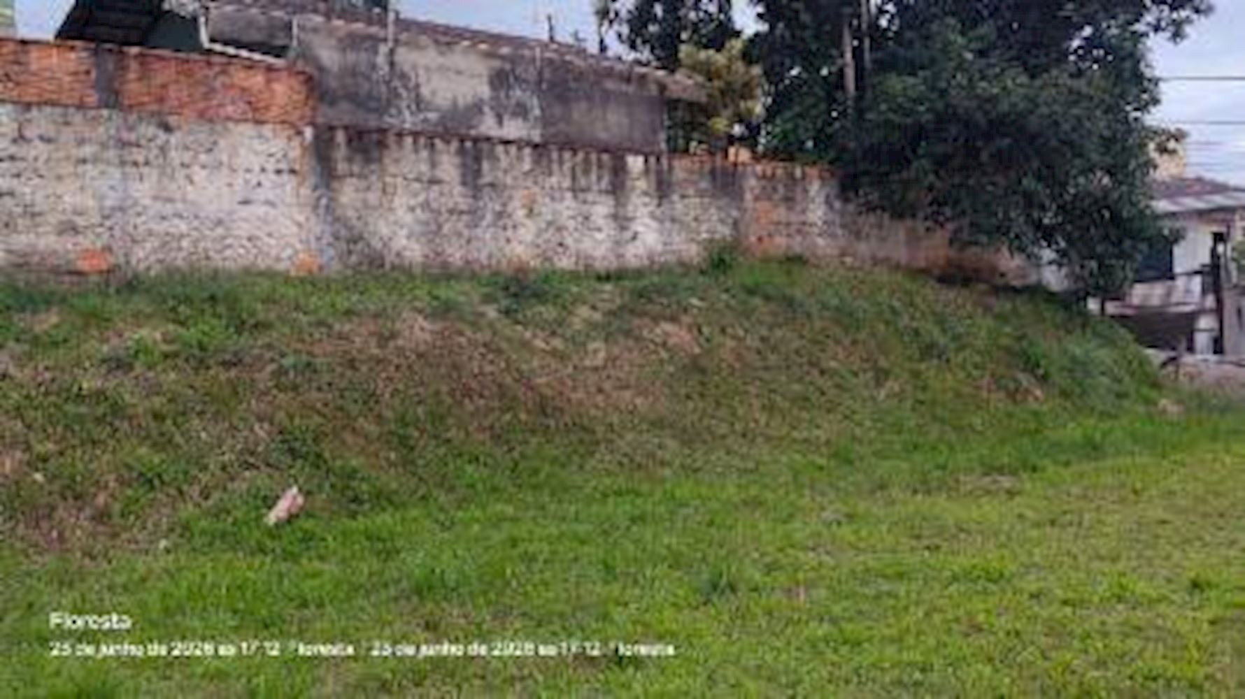 Terreno - Floresta - Joinville/SC — foto 2