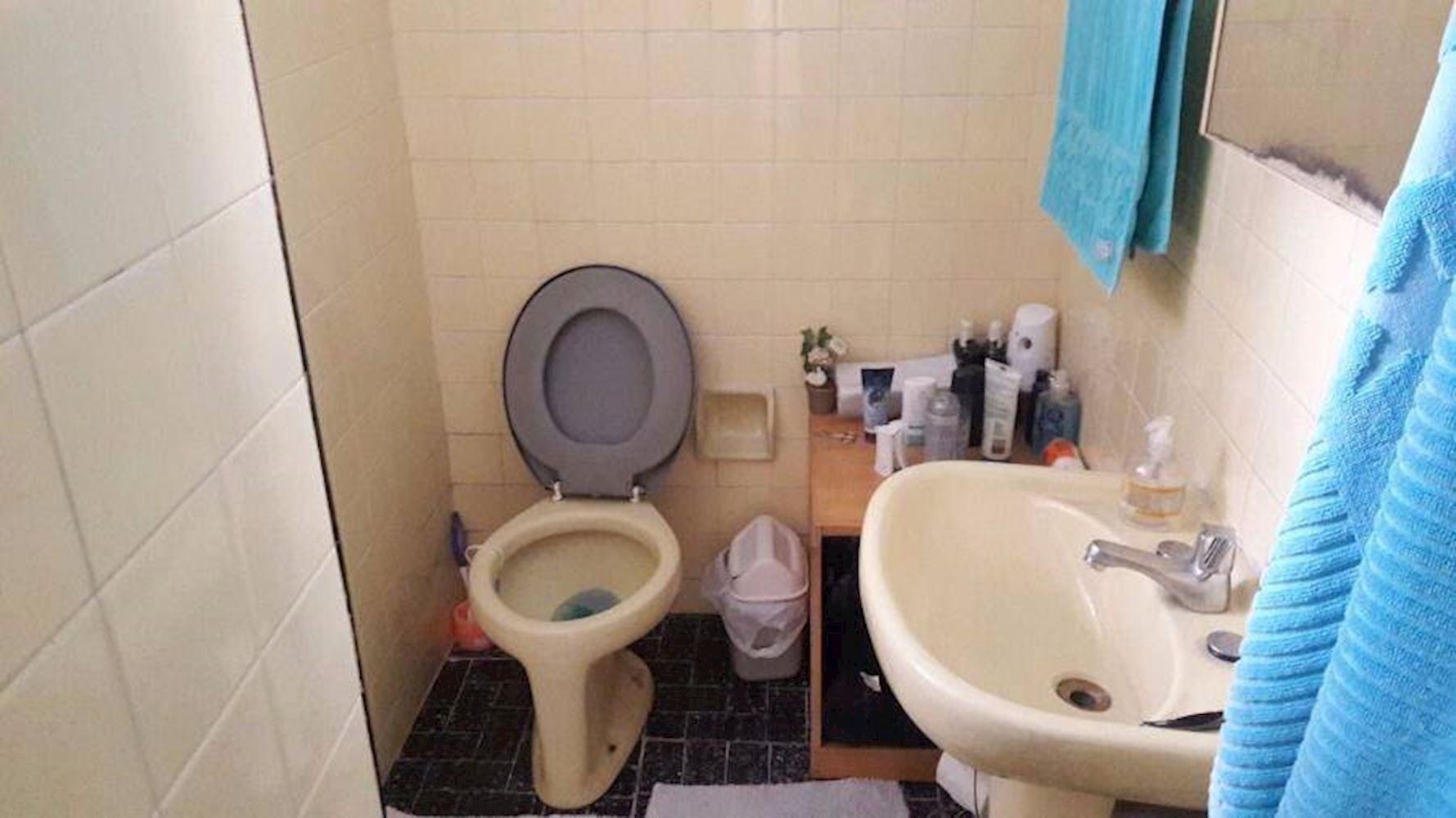 Apartamento - Sampaio - Rio de Janeiro/RJ — foto 5