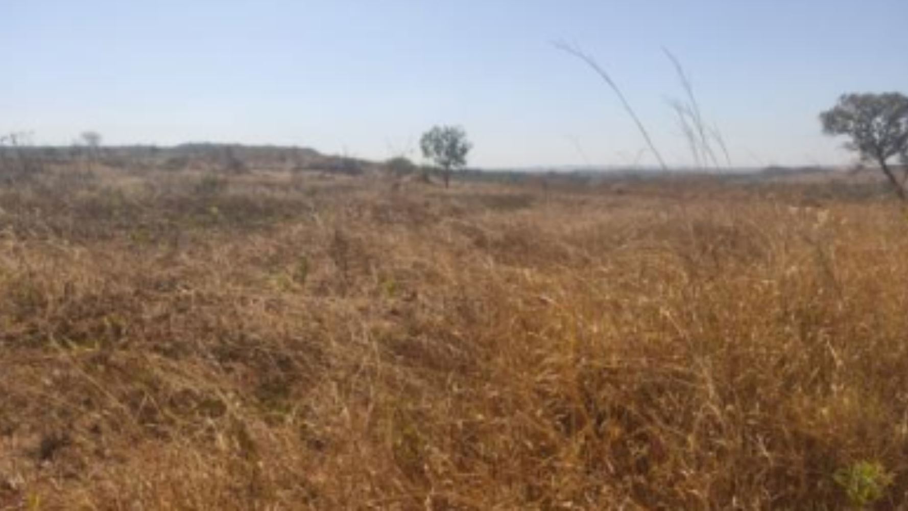 08 Terrenos no Loteamento Cidade Industrial de Luziânia - Luziânia/GO — foto 4