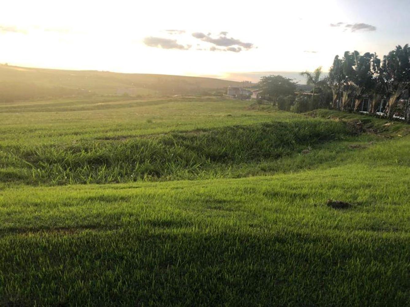 Terreno - Residencial Ecovillas do Lago - Sertanópolis/PR — foto 4