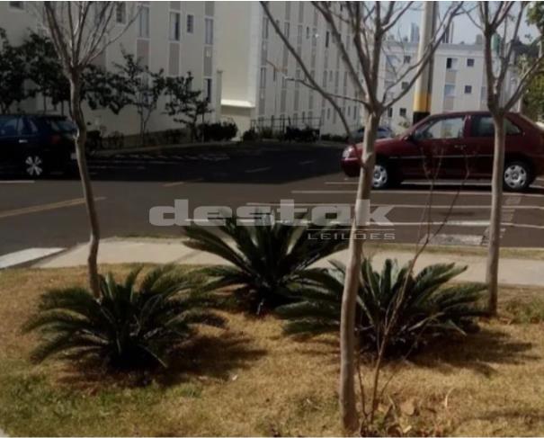 Apartamento em Marília/SP — foto 3