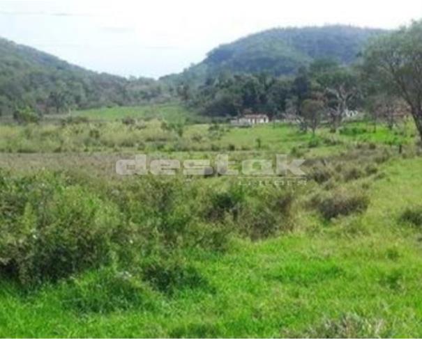 Gleba de Terras na Fazenda Bucaína em Piranhas/GO — foto 5