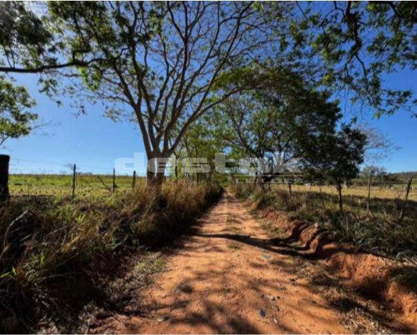 Imóvel Rural Sítio Santa Helena II em Oriente/SP — foto 2