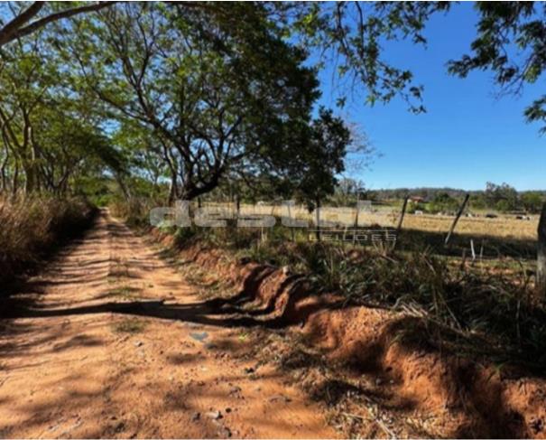 Imóvel Rural Sítio Santa Helena II em Oriente/SP — foto 3