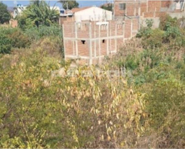 Terreno em Carnaíba/PE — foto 3