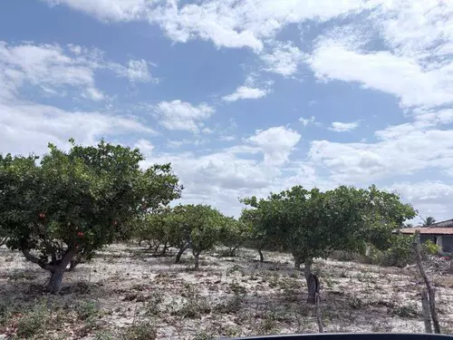 Lote DESOCUPADO em Tiririca, Pacajus, CE — foto 3