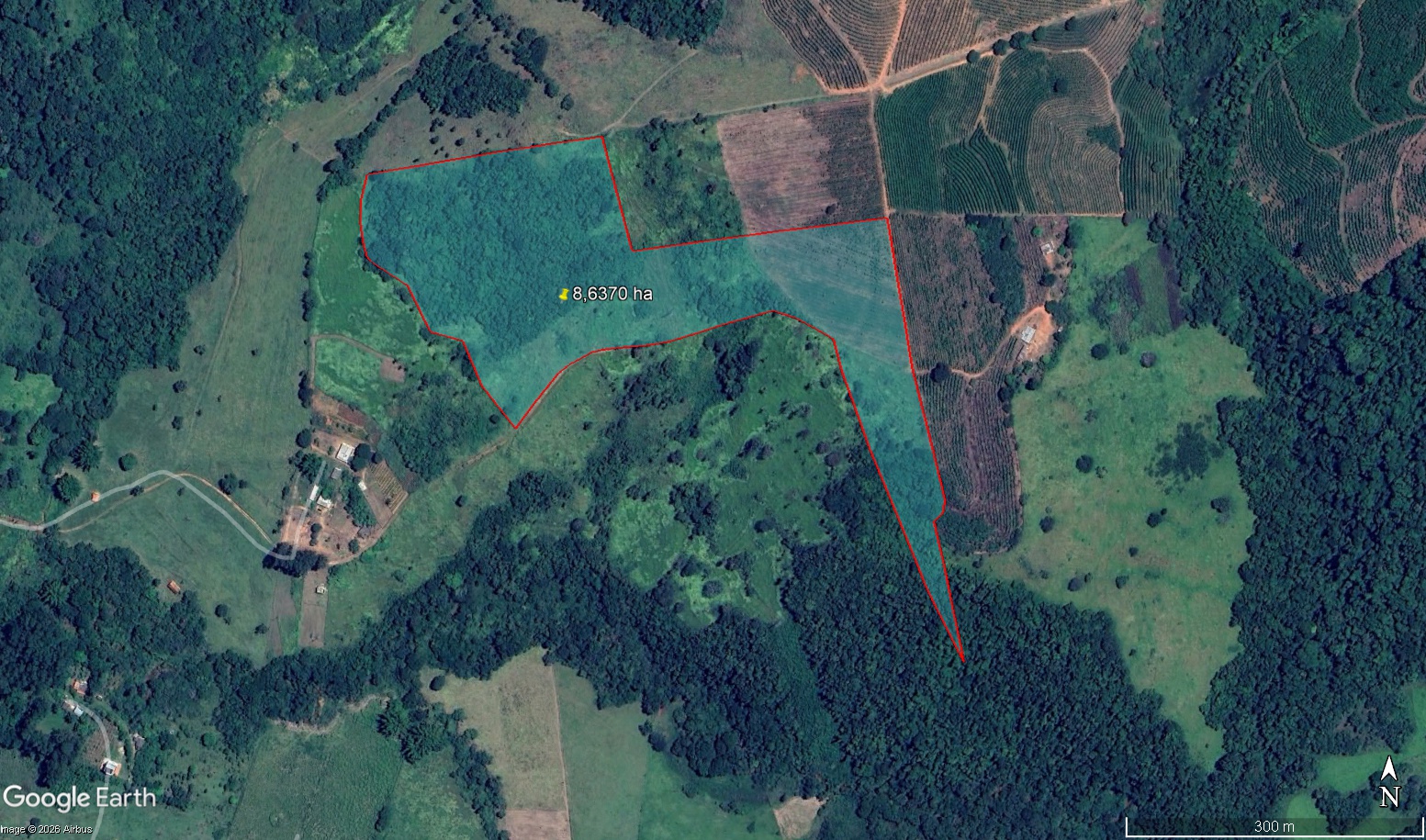 Imóvel Rural, 86.370m², Três Pontas/MG — foto 3