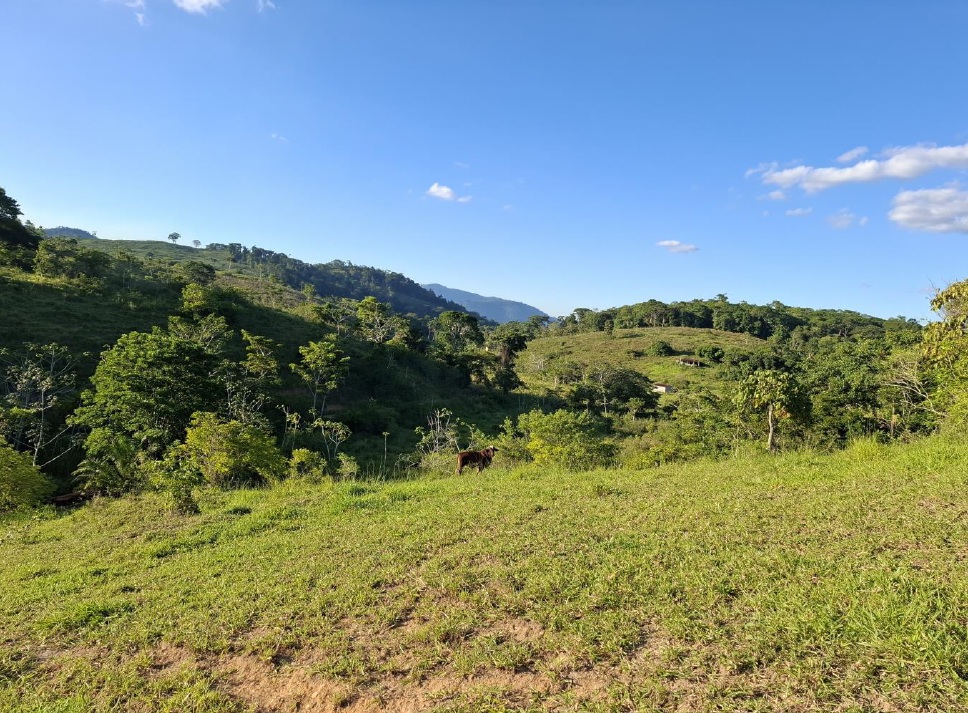 Imóvel Rural, 201ha, Aiquara/BA
