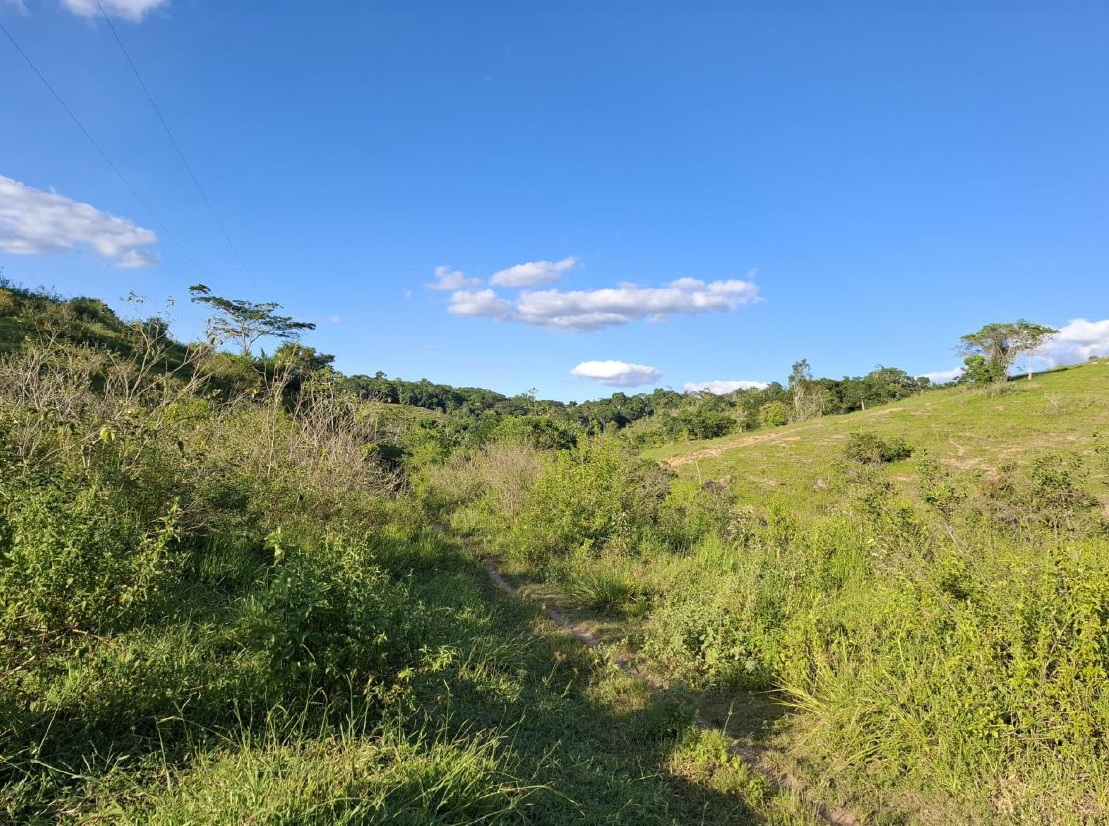 Imóvel Rural, 201ha, Aiquara/BA — foto 2
