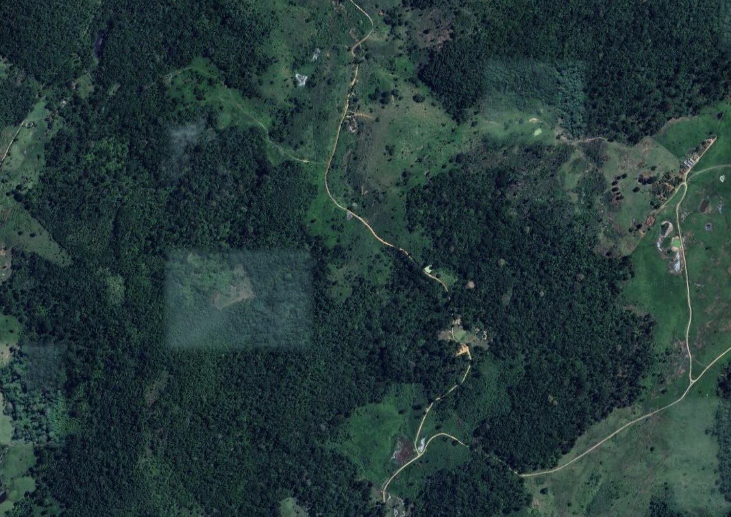 Imóvel Rural, 201ha, Aiquara/BA — foto 3