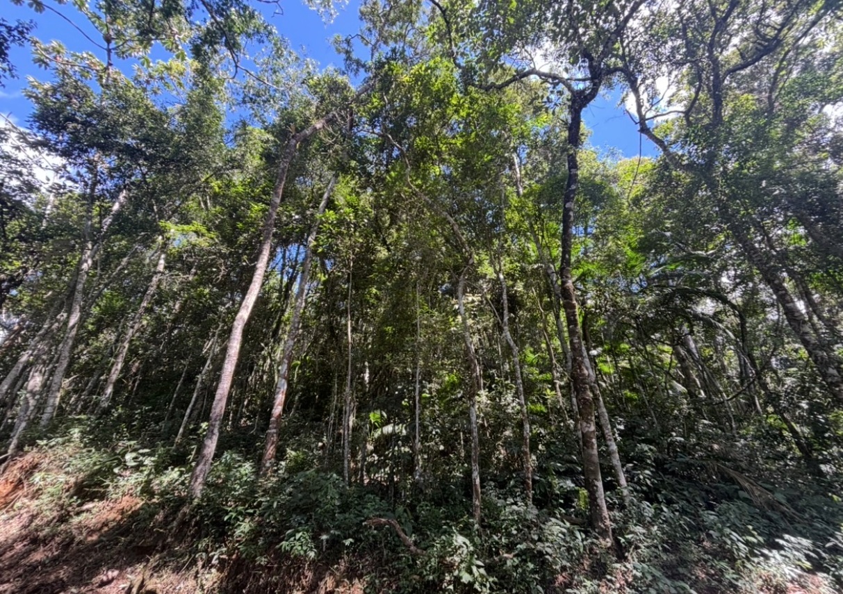 Terreno, A.T.: 6.210m², Cond. Paço de São Luiz, Quebra Frascos, Teresópolis/RJ — foto 2