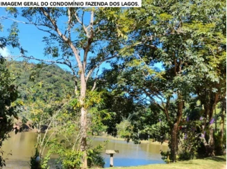 Chácara 138 - 3.642,04m² - Alfredo Chaves/ES — foto 5