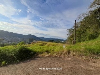 Terreno c/ 373,91m² - R. Pitangueira - Bairro Floresta — foto 4