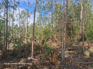 Terreno c/ 640,35m² - Lote 5 - Loteamento Rural Eldorado — foto 3