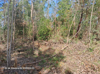 Terreno c/ 657,52m² - Lote 6 - Loteamento Rural Eldorado — foto 3