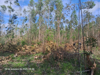 Terreno c/ 741,67m² - Lote 11 - Loteamento Rural Eldorado — foto 2