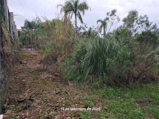 Terreno - 460,50m² - R. Feliz Lembrança. - B. Joaneta — foto 4