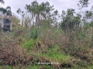 Terreno - 460,50m² - R. Feliz Lembrança. - B. Joaneta — foto 5
