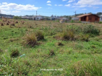 Terreno - 360,00m² - R. Luiz Carlos Pereira - Vila São João — foto 4