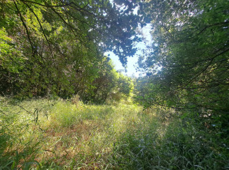 Terreno - 7.573,97m² - Av. Cavalhada - 5.001 - B. Cavalhada — foto 3