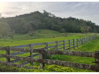 Chácara - 05,20,03ha - Distrito de Camobi - São José — foto 5