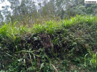 Parte ideal de Sítio c/ 9,65 hectares - Salto do Itajaí