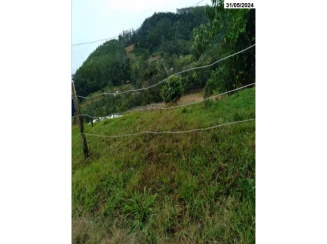 Parte ideal de Sítio c/ 9,65 hectares - Salto do Itajaí — foto 2