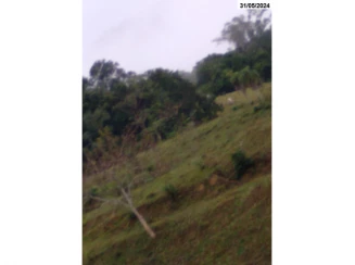 Parte ideal de Sítio c/ 9,65 hectares - Salto do Itajaí — foto 4