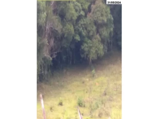 Parte ideal de Sítio c/ 9,65 hectares - Salto do Itajaí — foto 5