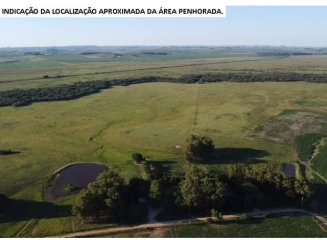 Sítio - 10,00ha - 1º distrito de Pampeiro — foto 3