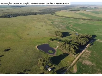 Sítio - 10,00ha - 1º distrito de Pampeiro — foto 4