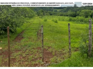Chácara - 61.250m² - Santo Cristo - Localidade Campo Alegre — foto 2