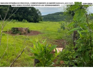 Chácara - 61.250m² - Santo Cristo - Localidade Campo Alegre — foto 5
