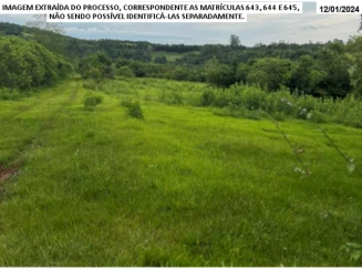 Chácara - 125.000m² - Santo Cristo - Localidade Campo Alegre — foto 3