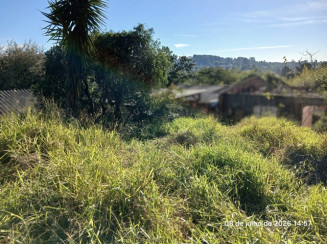 Terreno - 385m² - Rua Frei Caneca - 45 -Piratini — foto 4