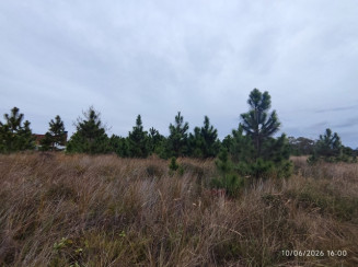 Terreno c/ 300,00m² - Praia Real — foto 2