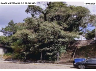 Terreno c/ 384,52m² - B. São Peregrino — foto 4