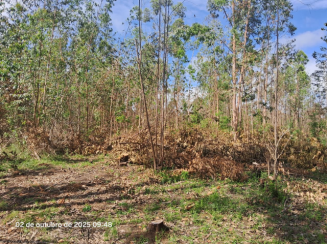 Terreno c/ 726,22m² - Lote 10 - Loteamento Rural Eldorado — foto 2