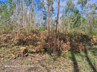 Terreno c/ 726,22m² - Lote 10 - Loteamento Rural Eldorado — foto 3