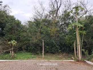 Terreno 20.000m² - R. Oscar Reinaldo Schirmer - B. Scharlau — foto 2