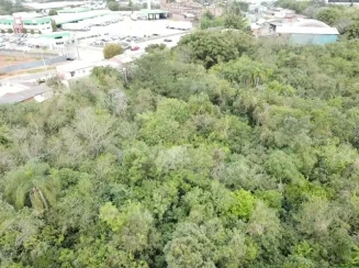 Terreno 20.000m² - R. Oscar Reinaldo Schirmer - B. Scharlau — foto 3