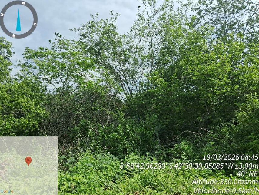 Terreno em São Raimundo Nonato/PI (ID99574) — foto 2