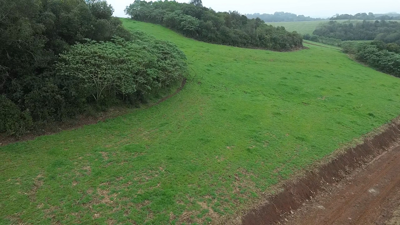 Terreno em Campos Novos/SC (ID102695) — foto 4