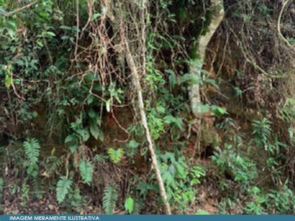 Parte Ideal (50%) sobre Direitos (35%) de Área 46 ha - Sabaúna - Mogi das Cruzes - SP — foto 2
