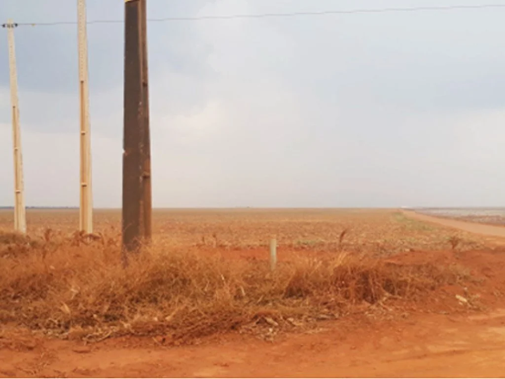 Direitos sobre Parte Ideal (50%) de Área Rural 195 ha - Fazenda Sabiá - Campos de Júlio - MT