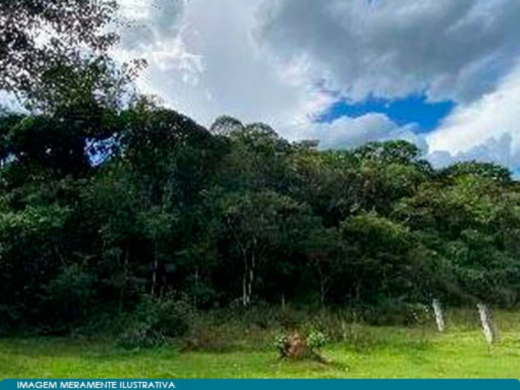 Área Rural com 20.400 m² - Ribeirão Grande - Pindamonhangaba - SP — foto 2