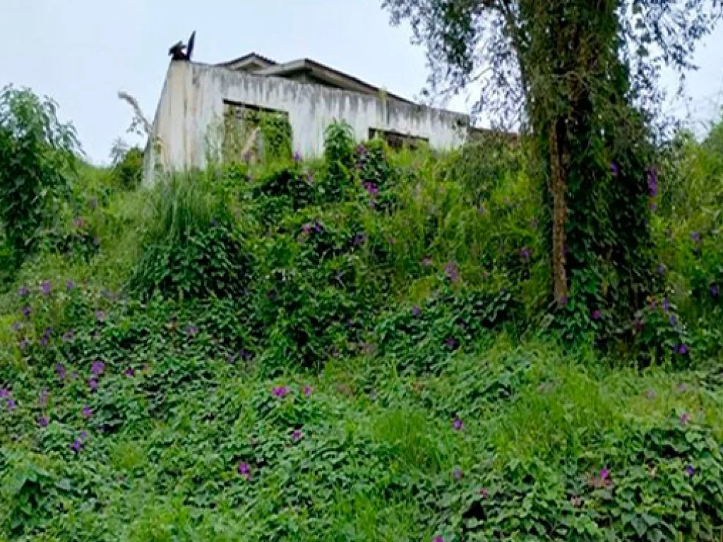 Parte Ideal (50%) sobre Terreno 900 m² (com construção inacabada) - Calmon - SC — foto 2